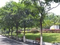 重慶市光華女子學校校園風景